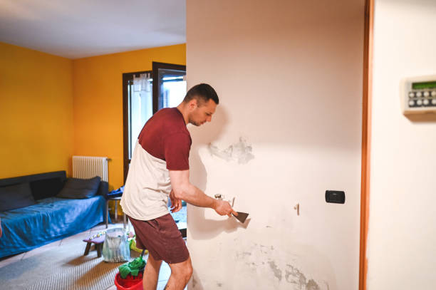 Best Mold Cleaning Services  in Spring Valley, CA